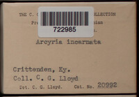 Image Associated With the Occurence